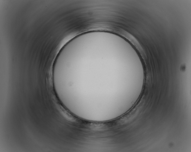 X0000102001242200808081652