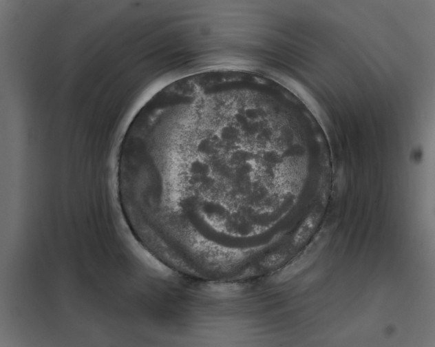 X0000102001243200808081652