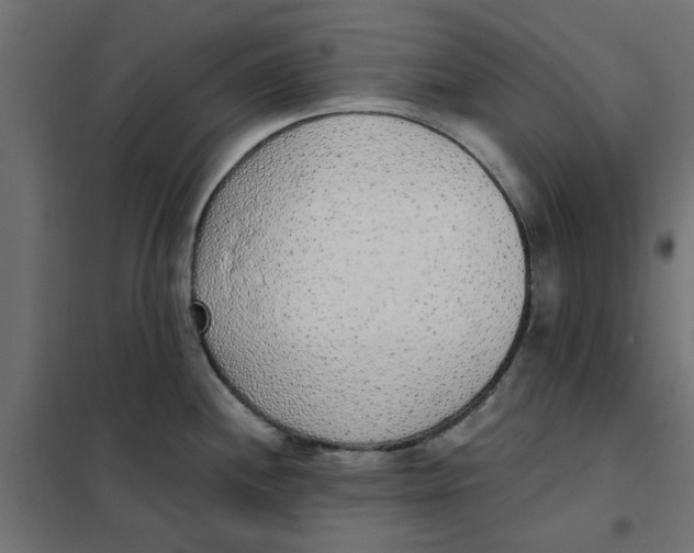 X0000102001244200808081652