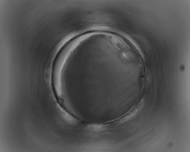 X0000102001245200808081652