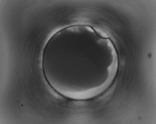 X0000102001246200808081652