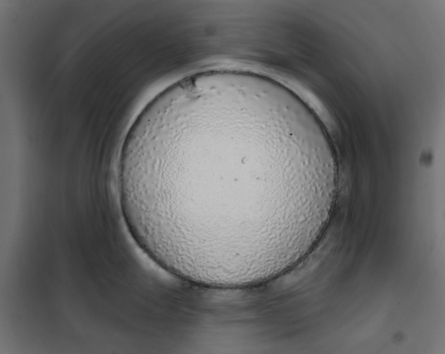 X0000102001247200808081652