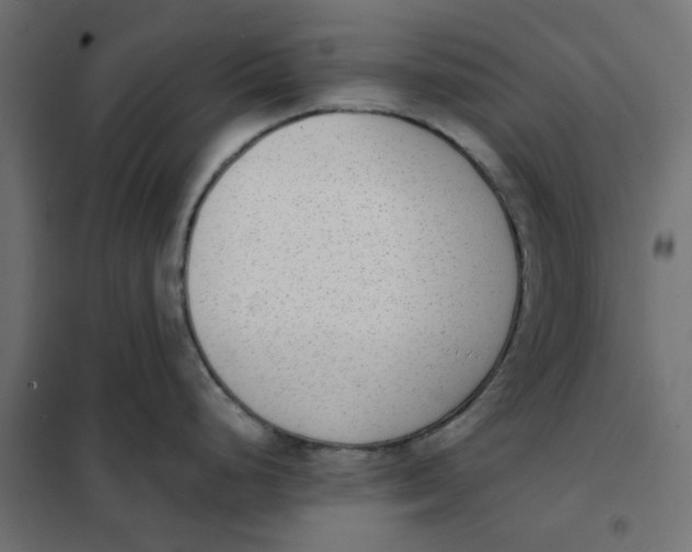 X0000102001248200808081652