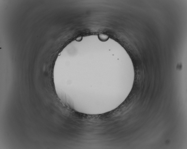 X0000102001249200808081652