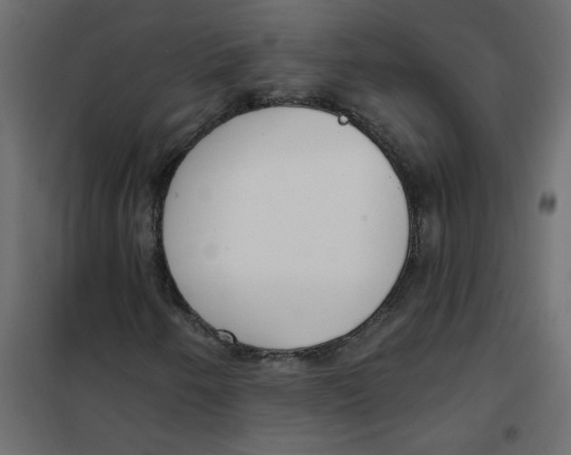 X0000102001250200808081652