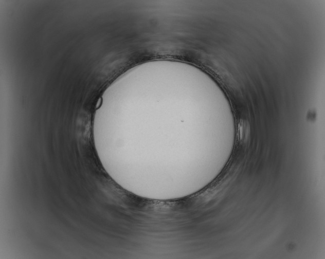 X0000102001251200808081652