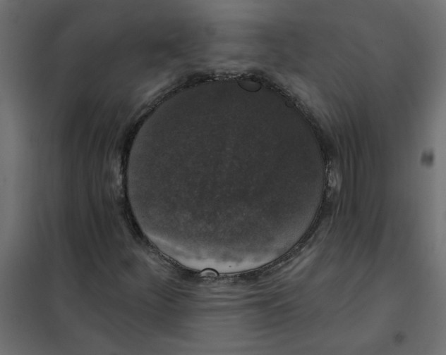 X0000102001252200808081652