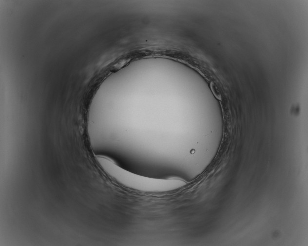 X0000102001253200808081652