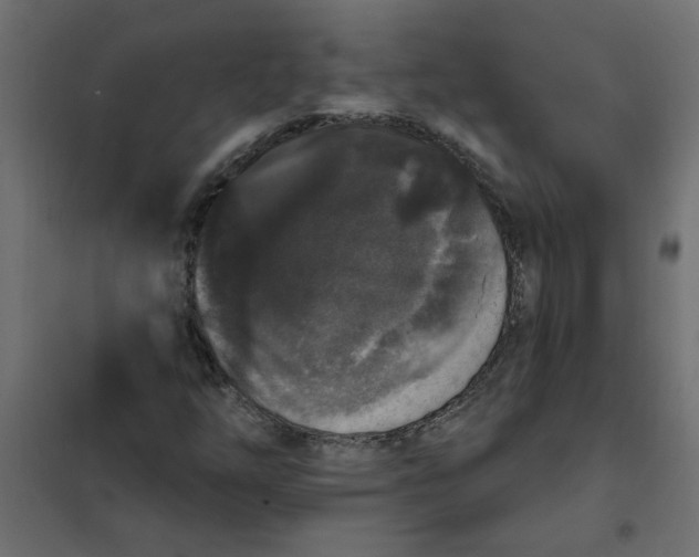 X0000102001254200808081652