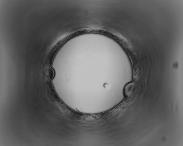 X0000102001255200808081652