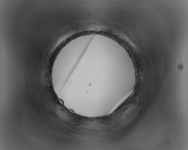 X0000102001256200808081652