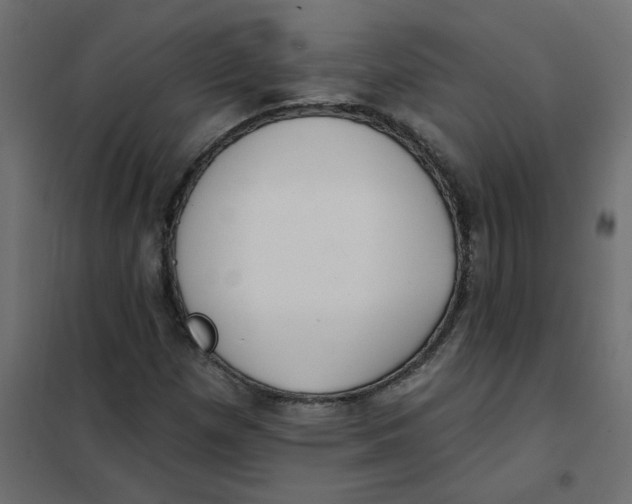 X0000102001257200808081652