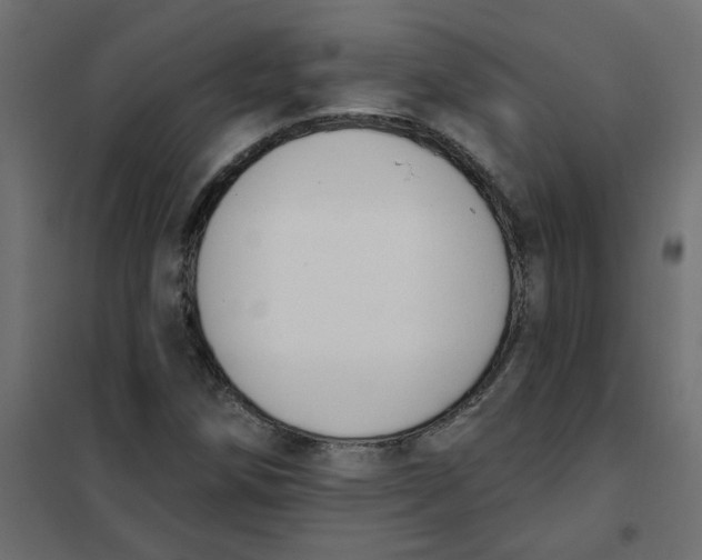 X0000102001258200808081652