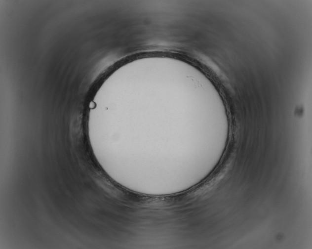 X0000102001259200808081652