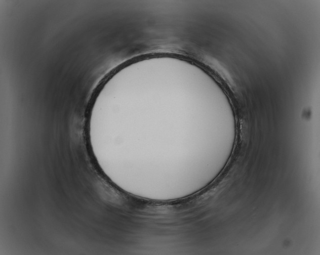 X0000102001260200808081652