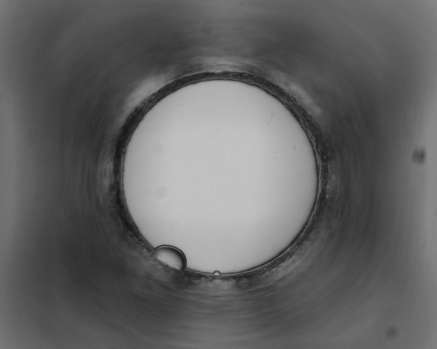 X0000102001261200808081652