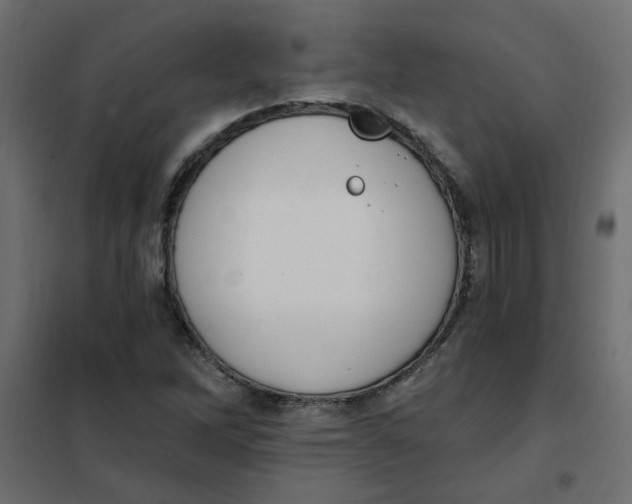 X0000102001262200808081652