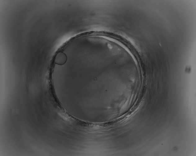 X0000102001263200808081651