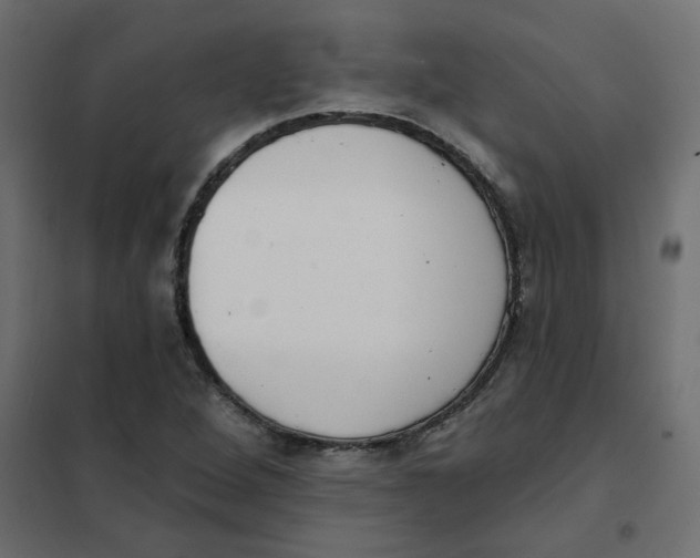 X0000102001264200808081651