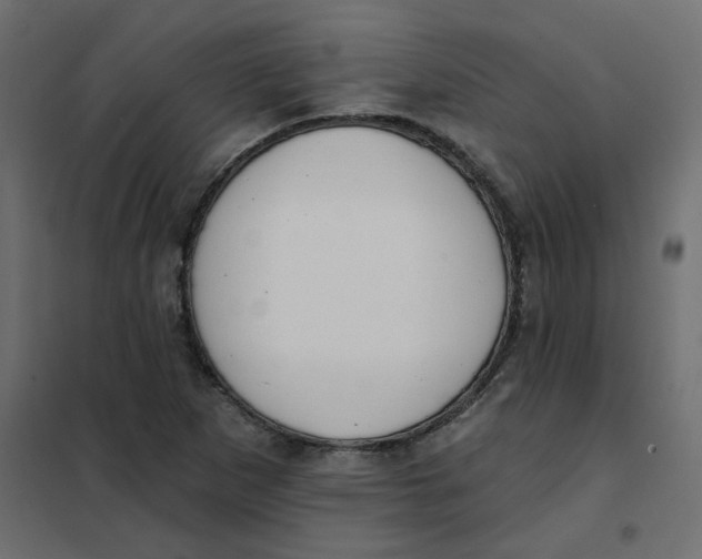 X0000102001265200808081651