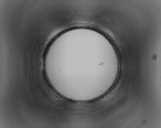 X0000102001267200808081651