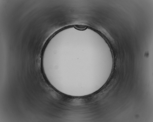 X0000102001268200808081651