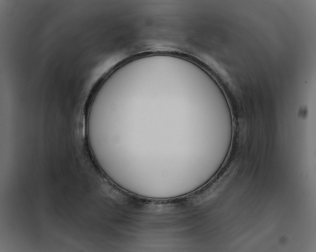 X0000102001269200808081651