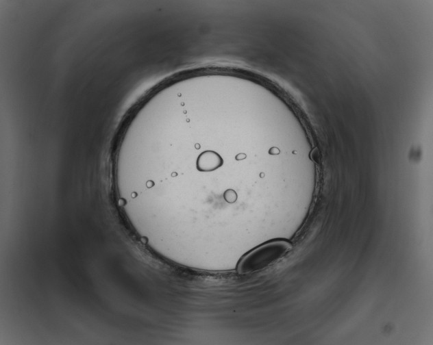 X0000102001271200808081651