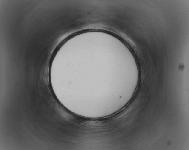 X0000102001272200808081651