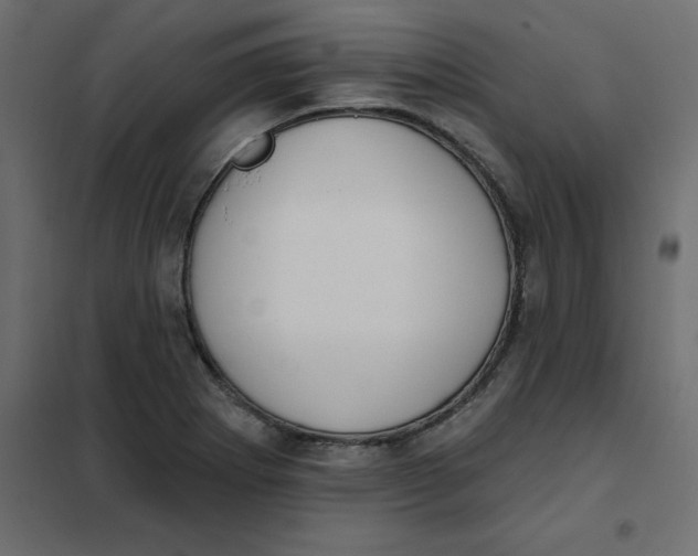 X0000102001273200808081651