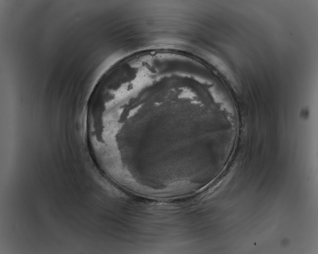 X0000102001275200808081651