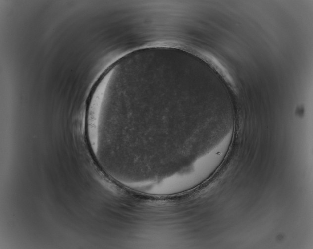 X0000102001276200808081651