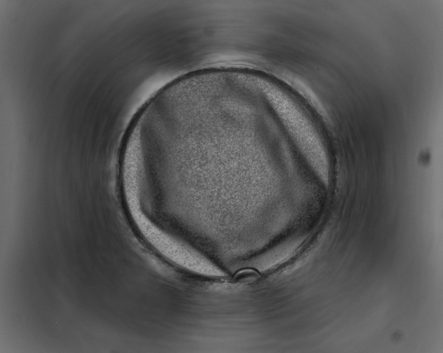 X0000102001277200808081651