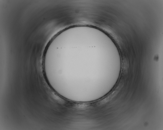 X0000102001278200808081651