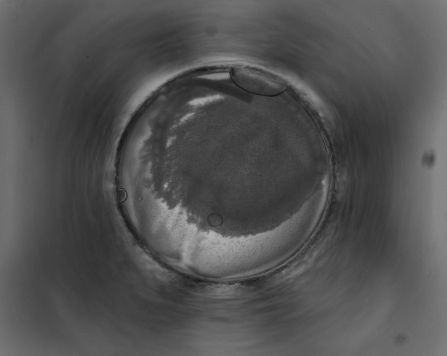 X0000102001279200808081651