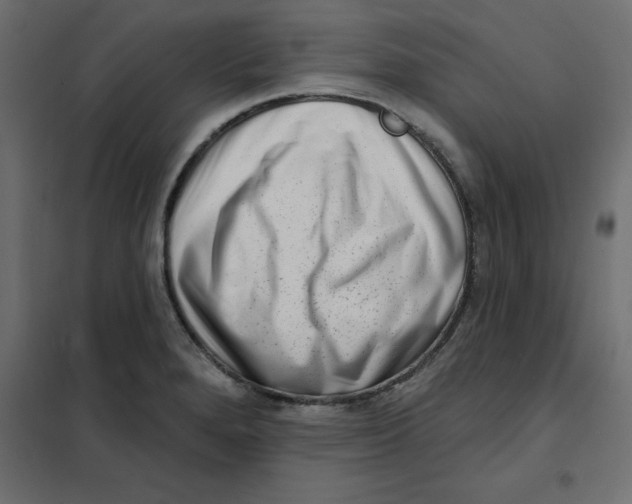 X0000102001280200808081651