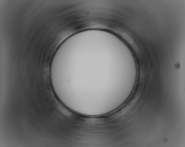 X0000102001281200808081651