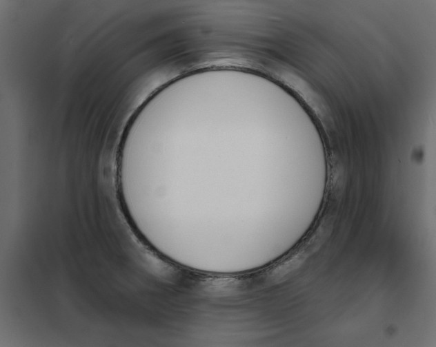 X0000102001282200808081651