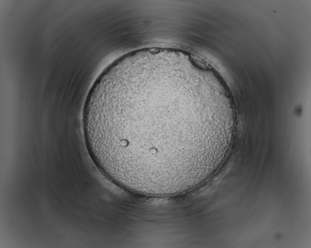 X0000102001283200808081651