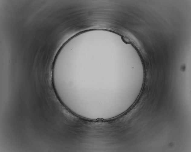 X0000102001284200808081651