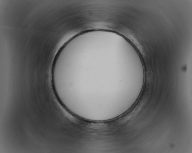 X0000102001285200808081651