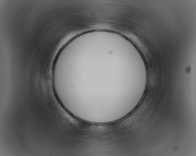 X0000102001286200808081651