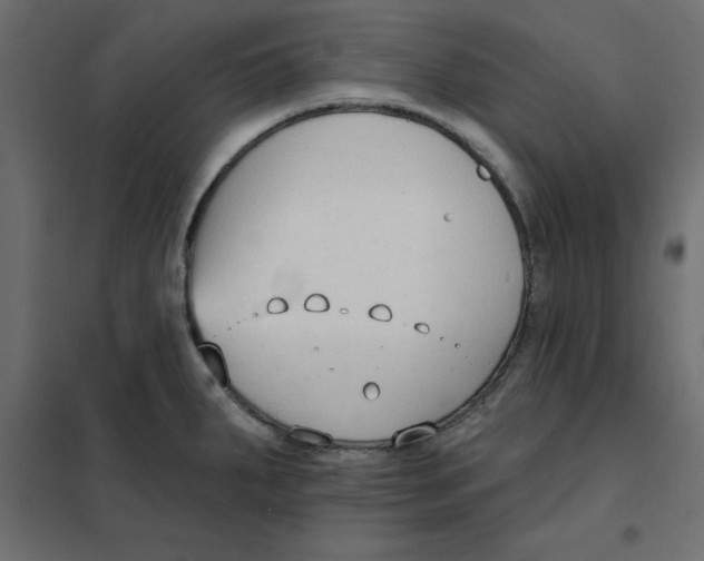 X0000102001287200808081651