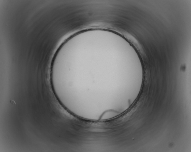 X0000102001288200808081651