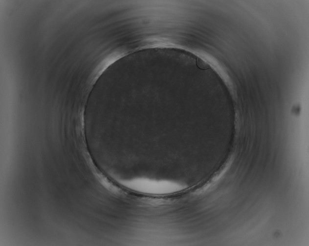 X0000102001289200808081651