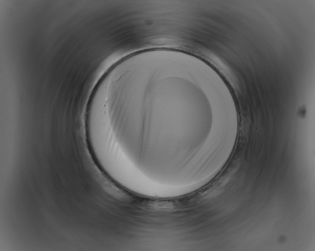 X0000102001291200808081651