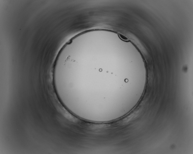 X0000102001292200808081651