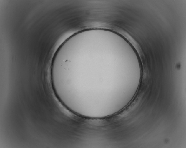 X0000102001293200808081651