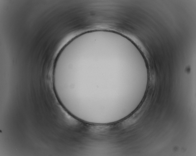 X0000102001294200808081651