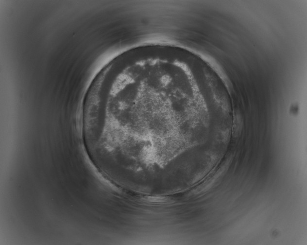 X0000102001295200808081651